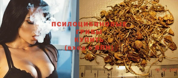 гидра Медногорск