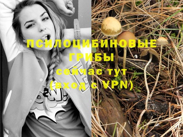 трава Аша